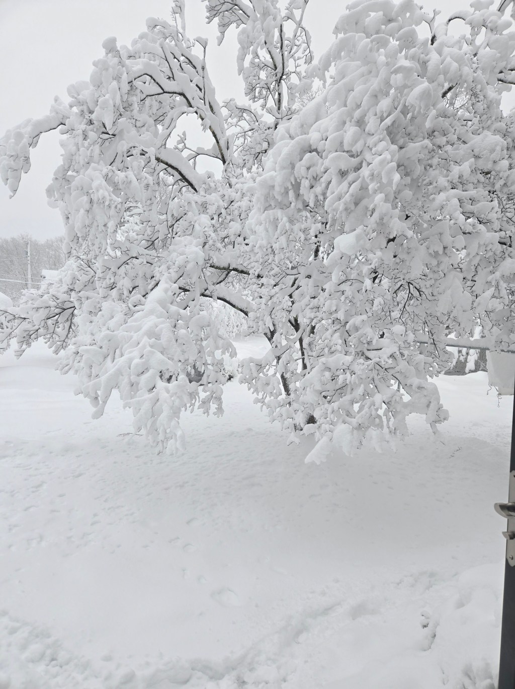 Snow Day Chaos: Five Kids, Fourteen Inches, and One Very Long&nbsp;Day